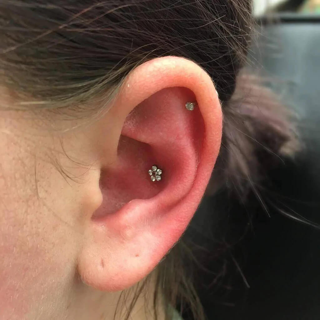 Conch ear piercing - $85.00 included jewelry at Iron Palm Tattoos & Body Piercing in downtown Atlanta, GA.