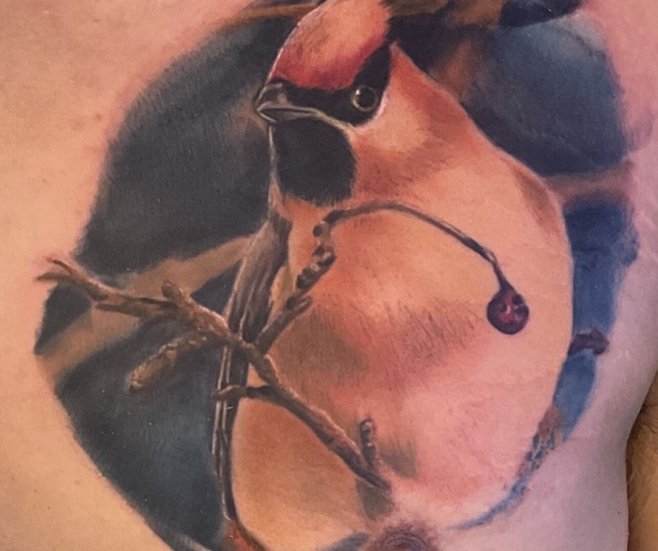 Bird Photo-realism colored animal tattoo by DB. Wyte at Iron Palm Tattoos in downtown Atlanta. Call 404-973-7828 or stop by for a free consultation. Walk-Ins are welcome.