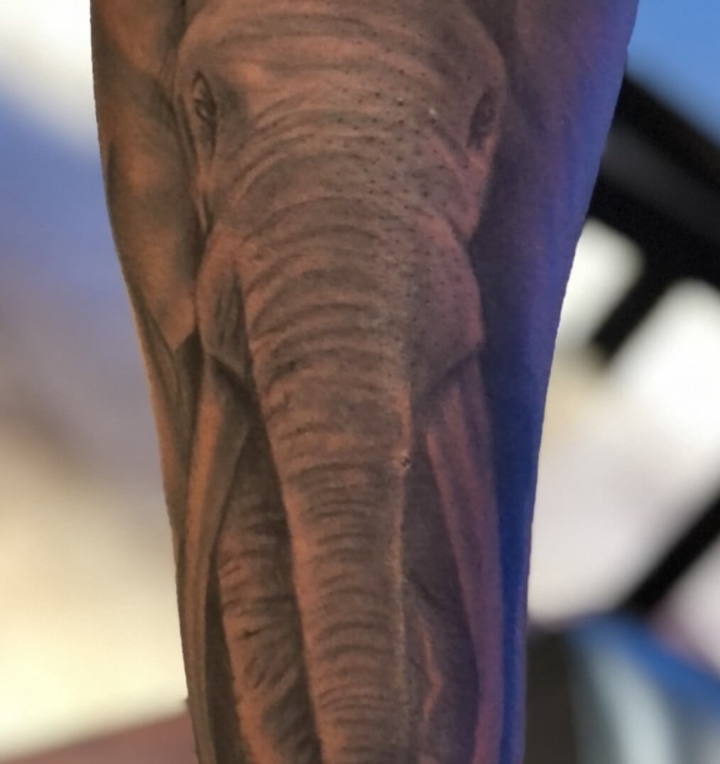 Elephant Portrait Animal Tattoo By Artist DB. Wyte at Iron Palm Tattoos & Body Piercing in Atlanta, GA. Call 404-973-7828 or stop by for a free consultation. Walk-INs accepted.
