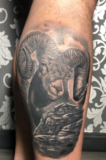 Ram animal tattoo in black and grey by DB. Wyte of Iron Palm Tattoos & Body Piercing in Atlanta, GA. Call 404-973-7828 or stop by for a free consultation to book DB Wyte.