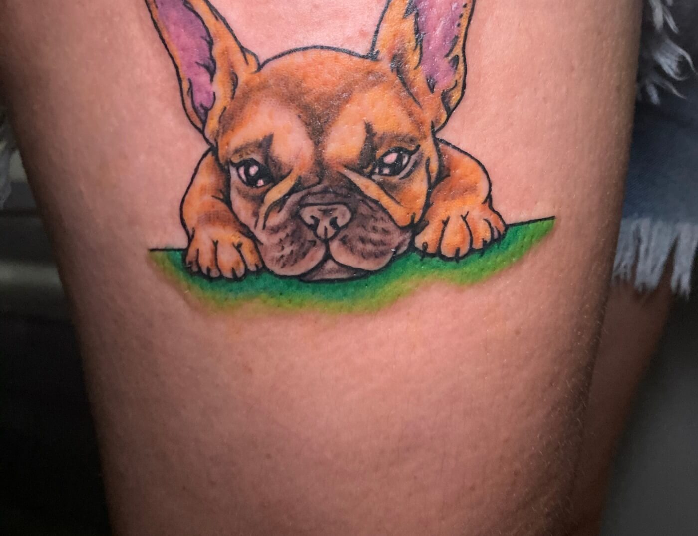 French Bulldog by Funk Tha World At Iron Palm Tattoos In Atlanta, GA. Frenchies are loved for their moderate behavior and funny antics. We love them so much Iron Palm has Frenchies too. Stop by and our body artists can give your best friend immortality through ink! We're open late night until 2AM. Call 404-973-7828 or stop by for a free consultation. Walk ins are always welcome.