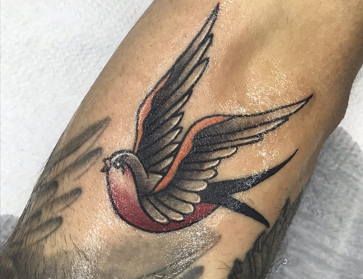 Old school tattoo swallow bird Royalty Free Vector Image