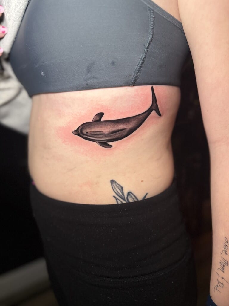 Black and gray dolphin tattoo on ribcage with smooth shading and realistic form